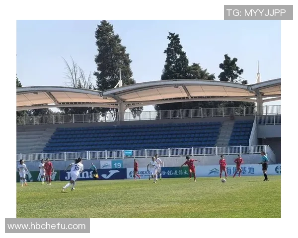 重庆足球队在全国锦标赛中的个人能力分析与表现评估